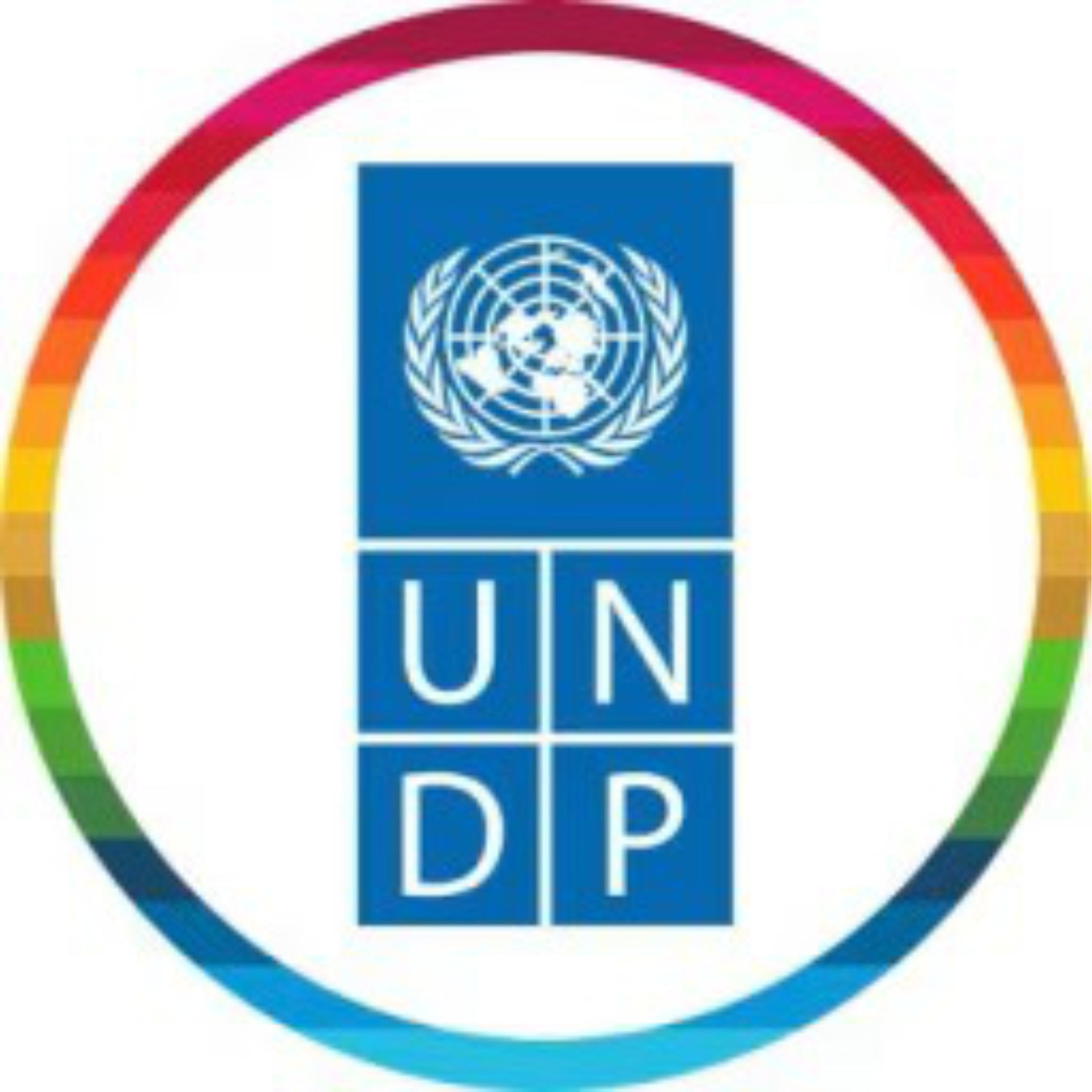 UNDP logo